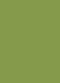 Zelena kiwi